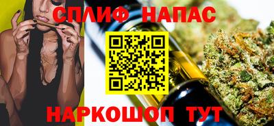 сатива Малгобек
