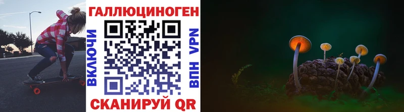 даркнет сайт ссылка на мегу маркетплейс Галлюциногенные грибы Psilocybine cubensis сайты даркнета формула Кондопога