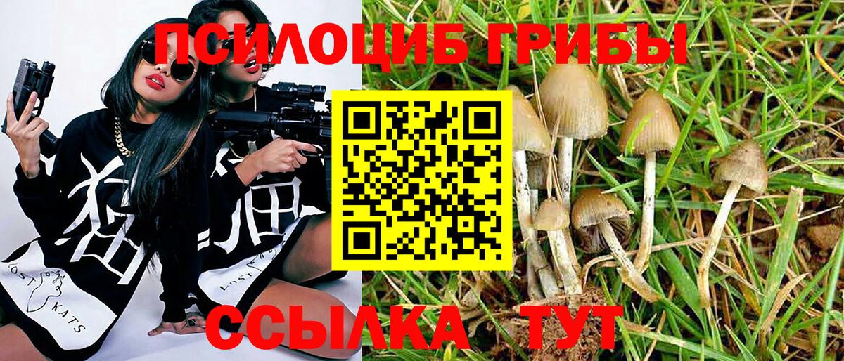 Галлюциногенные грибы прущие грибы Кондопога